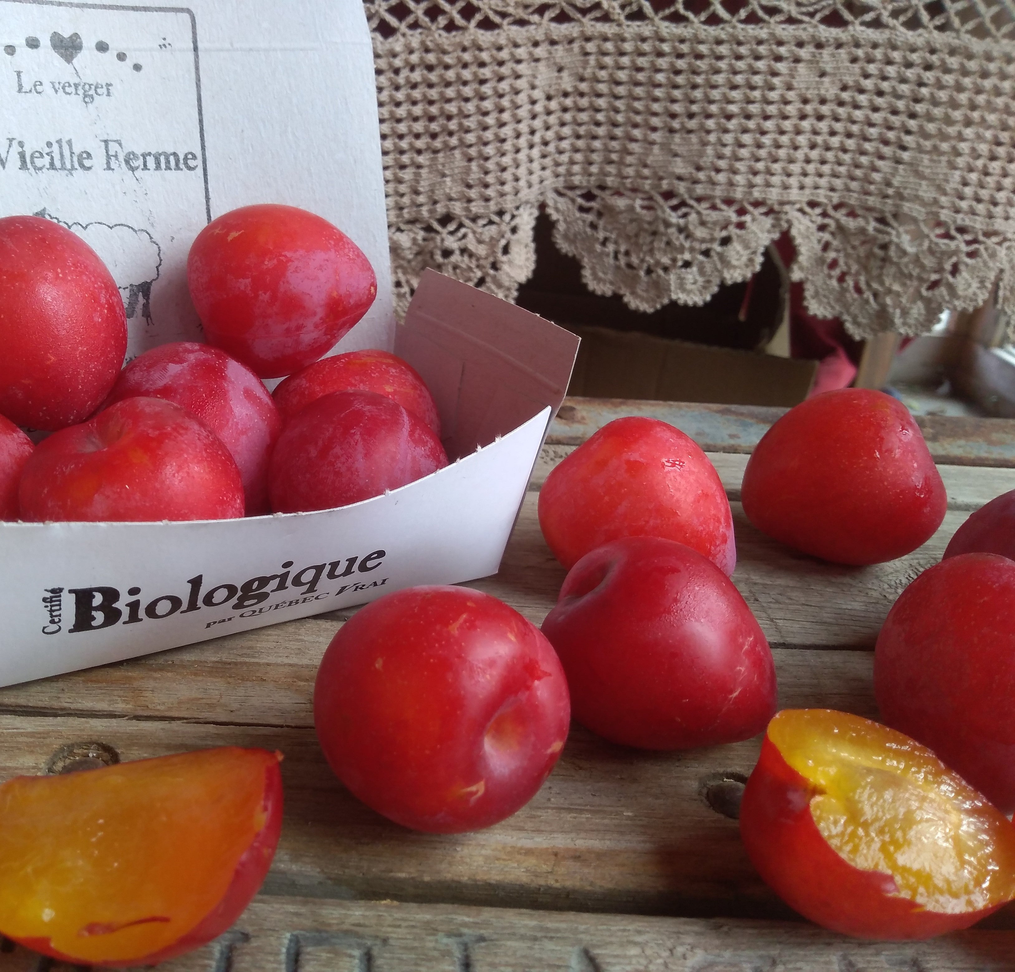 Prunes biologiques